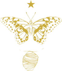 metamorphose als sinnbild für transformation